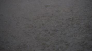 The area is full of waves on the concrete floor. Raindrops that hit the water surface. video