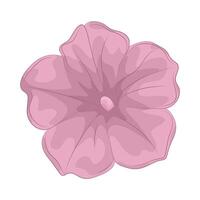 illustration of petunia vector