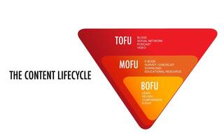 infographic template for business marketing funnel diagram framework vector