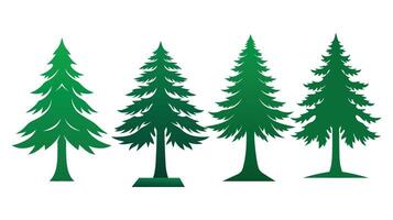 Elegant silhouette design of a pine green tree vector