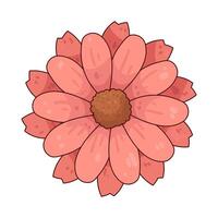 Illustration of gerbera daisy flower vector