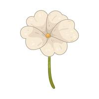 Illustration of white geranium vector