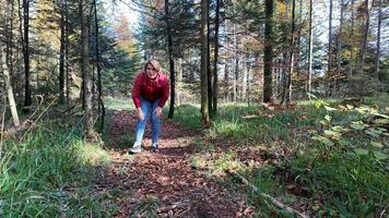 A Caucasian woman in a red jacket enjoys a sunny autumn walk in the forest, embodying nature exploration and seasonal transitions video