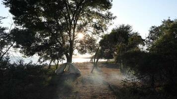 An extremely serene and beautiful nature scene with a tent by the lake video