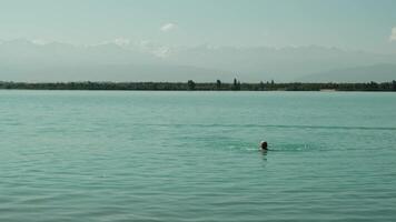 swimmer enjoys a delightful experience in serene waters. Pneisoner on vacation video