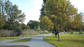 Atmospheric shot of autumn park in sunny day, big tree near path, empty bench and yellow leaves on lawn. video