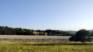 Side point of wide view of driving in car vehicle road trip on sunny day. Beautiful view of flat field with some trees and forest in horizon from fast moving car passenger side window, driving plate. video