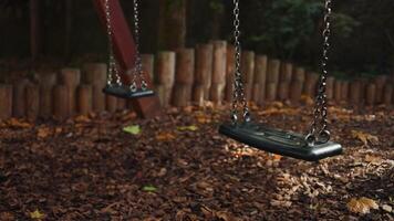 Empty black swing on children playground in the park in autumn season. Missing child. Lonely swing in sunny autumn day. Golden foliage in late fall. Beautiful nature. video