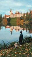 teenage boy and corgi dog observes the beauty of autumn in Pruhonice Park video