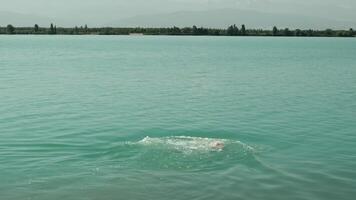 Tranquil Waters A Swimmers Moment of Thoughtful Reflection. European pensioner video