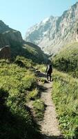 A dedicated hiker is currently exploring a beautiful scenic mountain trail video