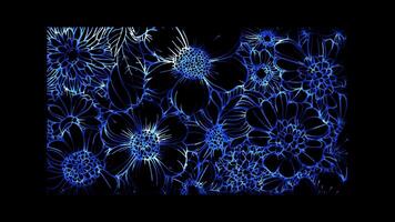 Neon frame effect, flowers on black background video
