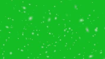 Snowing Animation on Green Screen, Seamless Loop video