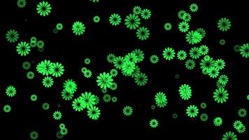 Green color slowly moving elegant and simple flowers on black background, floral pattern modern background video