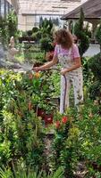 Happy young female standing and watering plants with hose in green garden video