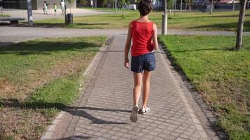 A happy child is walking on a beautiful pathway located in a lovely park setting video