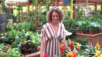 Smiling young female walking in nursery and lifting Guzmania flowering plat video