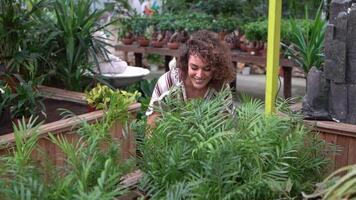 Cheerful woman standing and enjoying while touching green potted plants in nursery video
