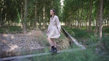 Enjoying a Graceful and Leisurely Stroll Through a Beautiful Lush Forest Pathway Today video