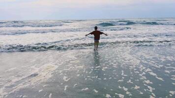 A joyful child is playing alongside the ocean waves on a bright and day outside video
