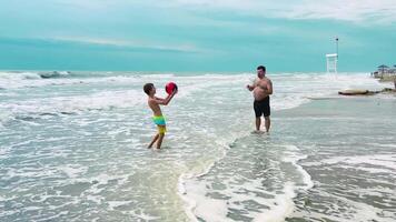 Experience Joyful Family Fun at the Beach with Invigorating Waves and Warm video