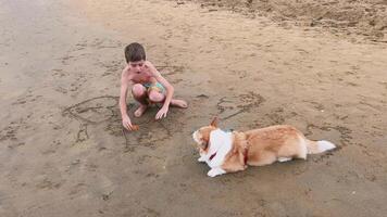 Child and Corgi are Happily Enjoying a Wonderful and Fun Day Together at Beach video