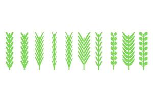 Green Leaf Elements Graphic Set Design vector