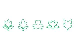 Botanical flower outline design set. Decorative floral icon vector