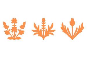 Floral Pattern Graphic Set Design vector