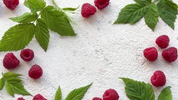 Fresh organic ripe raspberry video