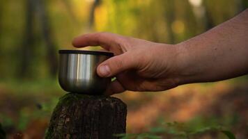 TeaIn A CupIn The Autumn Forest video