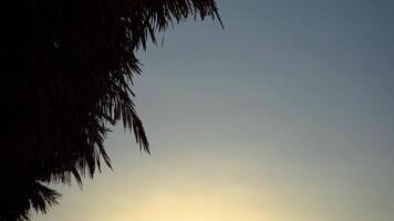 Edge Of A Thatched Roof Against The Sky video