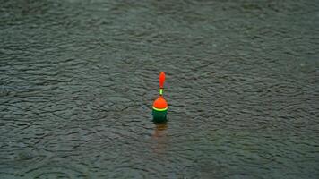 The Float Bites In The Rain video