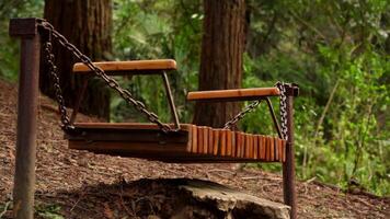 A Wooden Bench In The Forest With Chains Hanging From It video