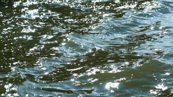 Wave Movement And Glare video