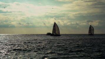 A Group Of Sailboats Sails On A Calm Ocean At Dawn video