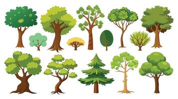 illustration of different types of trees vector