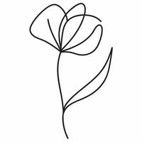 A line drawing of a flower vector