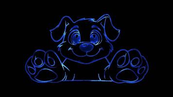 Neon frame effect, Pet Paw Print For pet care tasks on black background video