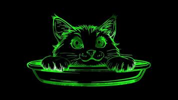 Neon frame effect, Pet Bowl For pet feeding on black background video