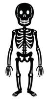 A skeleton is standing in front of a white background vector