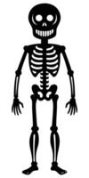 A skeleton is standing in front of a white background vector