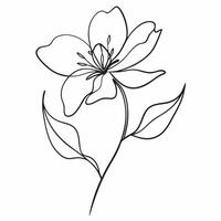 A drawing of a flower with leaves vector