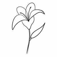 A flower is drawn in black and white on a white background vector