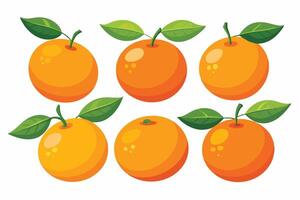 A set of six oranges with leaves vector