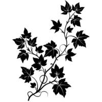 Black and white vine with leaves vector