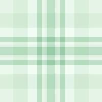 Nyc texture check , coloured tartan fabric plaid. Dress background seamless pattern textile in light and white colors. vector
