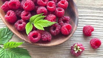 Fresh organic ripe raspberry video