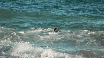 Ocean Waves Swimming Person - A person swims in choppy ocean waves, likely enjoying a day at the beach. video