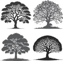 silhouette of tree on white background vector